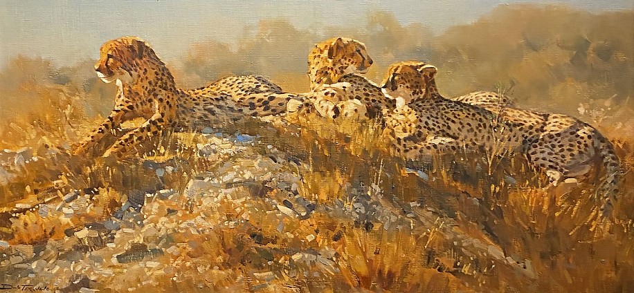 Dino Paravano, Cheetahs
1981, Oil on Canvas