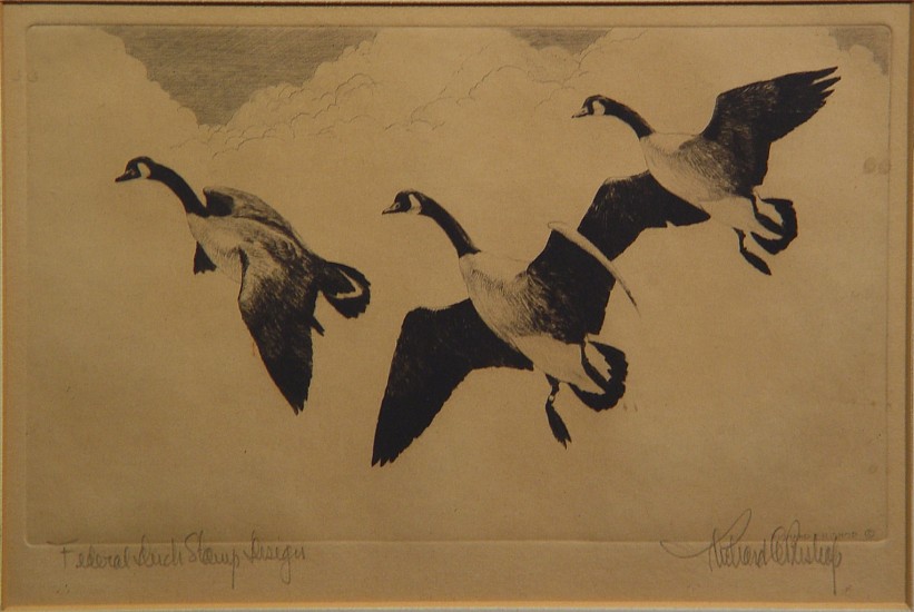 Richard Evett Bishop, Canada Geese
Engraving
