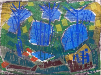 drewes.tropicalgrowth.yucatan