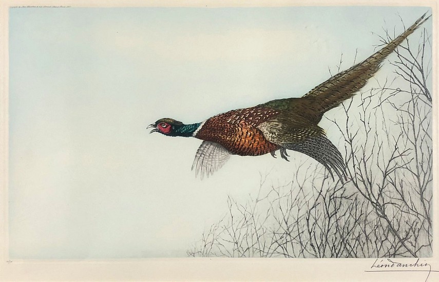 Leon Danchin, Pheasant
Color Lithograph