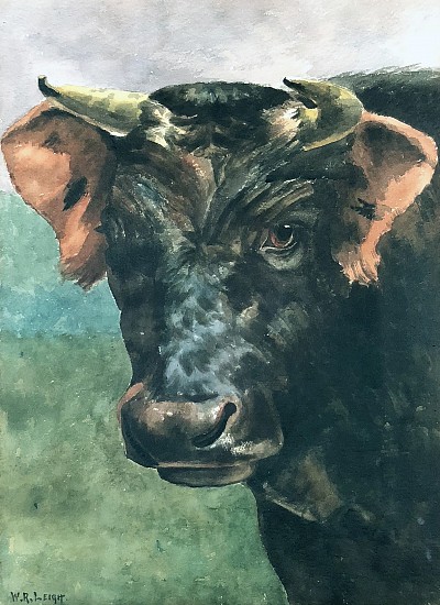 William Robinson Leigh, Bull
Watercolor on Paper