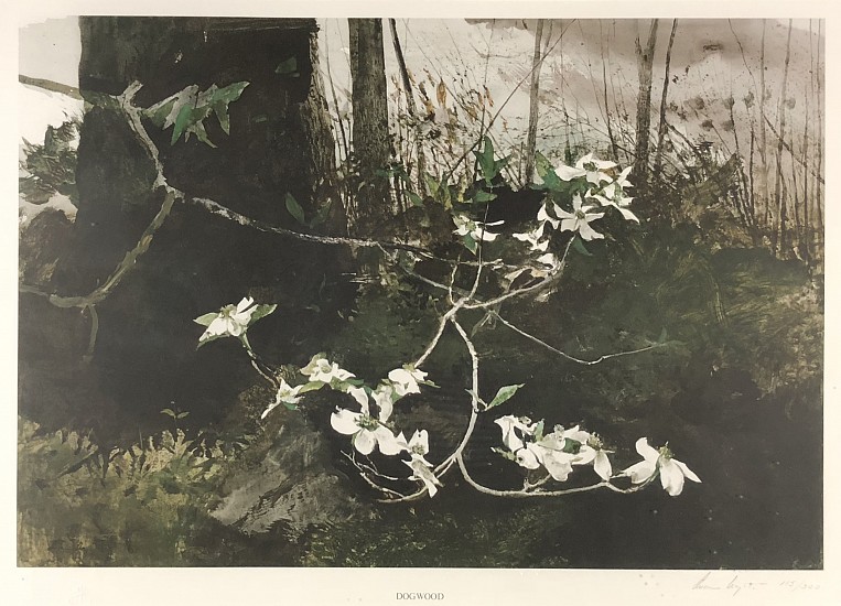 Andrew Wyeth, Dogwoods
Lithograph