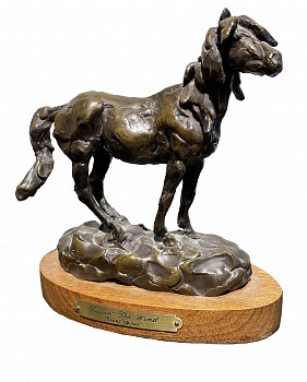 speed.testingthewind.edit