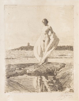 Zorn.TheSwan.Crop.Small