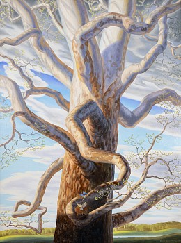 Haynes.OakTree.Crop.small