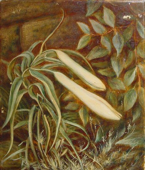 Robert E. Tindall, Lillies
Egg Temera on Board