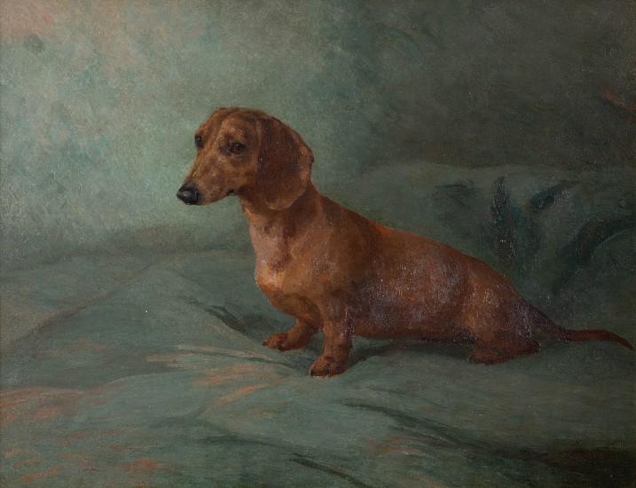 Maud Earl, Dachsund
Oil on Canvas Laid To Board