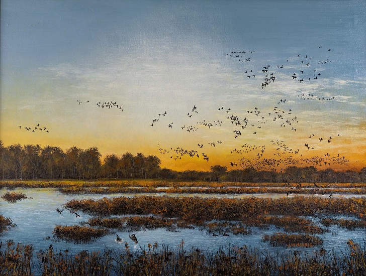 James Harris, Taking Flight
Oil on Canvas